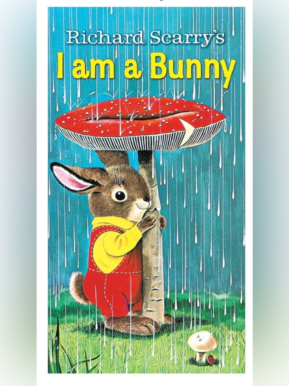 Best Board Book on the Market, “I Am a Bunny”